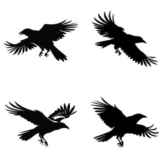 Fototapeta premium bird, silhouette, vector, animal, flying, illustration, nature, birds, fly, icon, wings, black, set, wild, pigeon, wing, dove, wildlife, silhouettes, seagull, flight, feather, design, eagle, hawk