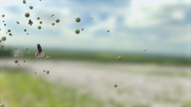 Pollen grains, which can trigger allergies, are transported through the air in a meadow in spring - 3d illustration