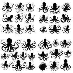 octopus silhouette, octopus png, octopus svg, octopus illustration, sea animal, sea svg, sea png, vector, pattern, floral, flower, design, ornament, seamless, silhouette, art, illustration, decoration