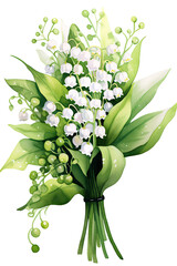 Obraz premium Bouquet of white galanthus in watercolor painting