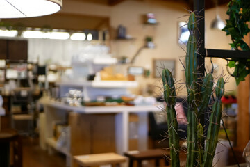 観葉植物