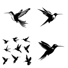 bird, silhouette, vector, animal, flying, illustration, nature, birds, fly, icon, wings, black, set, wild, pigeon, wing, dove, wildlife, silhouettes, seagull, flight, feather, design, eagle