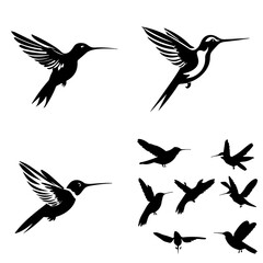 bird, silhouette, vector, animal, flying, illustration, nature, birds, fly, icon, wings, black, set, wild, pigeon, wing, dove, wildlife, silhouettes, seagull, flight, feather, design, eagle
