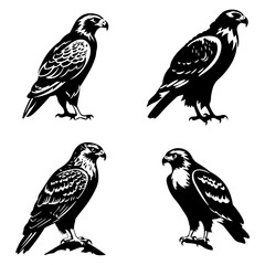 bird, silhouette, vector, animal, flying, illustration, nature, birds, fly, icon, wings, black, set, wild, pigeon, wing, dove, wildlife, silhouettes, seagull, flight, feather, design, eagle