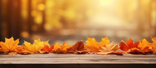 Naklejka na ściany i meble Autumn maple leaves on wooden table