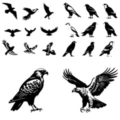 bird, silhouette, vector, animal, flying, illustration, nature, birds, fly, icon, wings, black, set, wild, pigeon, wing, dove, wildlife, silhouettes, seagull, flight, feather, design, eagle