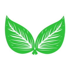Leaf PNG