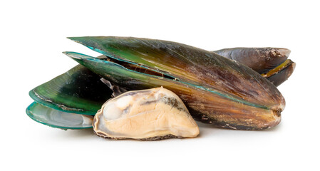 Steamed or cooked food of fresh beautiful green mussels in stack isolated on white background with clipping path and shadow in png file format Sea food