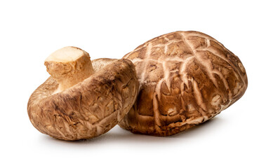 Fresh shiitake mushrooms in stack isolated on white background with clipping path. Japanese and Chinese herb