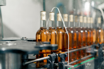 Bottles filled with wine travel along the packaging line at winery for further distribution to...