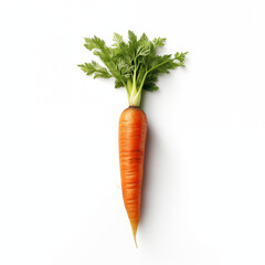 A carrot isolated on a white background.