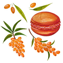 Sea buckthorn orange macarons in a set with twigs, fruits and sea buckthorn leaves. Watercolor illustration on a white isolated background.