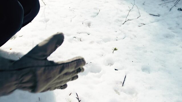 Hand with gloves leaving traces on the snow 