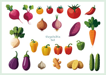 新鮮な野菜のセット
