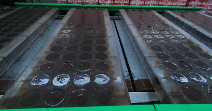Production of chocolates. Automated production line for chocolate pralines at the factory.