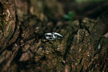 Ringe mit dem Blumenstrauss bei einer Hochzeit
