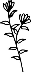 Leaf Botanical Hand Drawn Line Art
