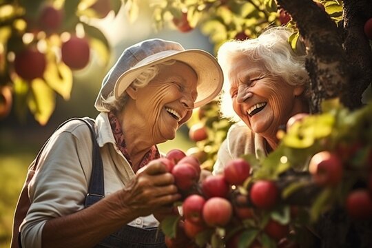 Two old women collecting apples harvest smiling fall seasons - Powered by Adobe