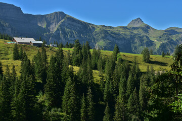 Bregenzerwald; Vorarlberg; Österreich;  Wurzachalpe mit Damülser Mittagsspitze