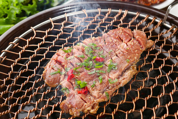Grilled Marinated Galbi