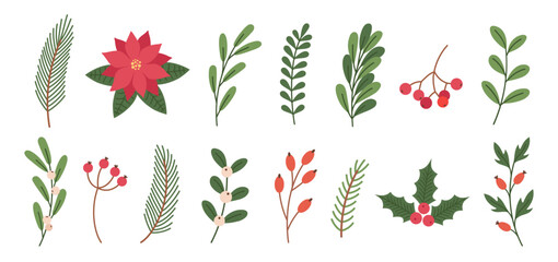 Winter christmas hand drawn plants set. Christmas botanical elements. Holiday Xmas decor, branches, flowers, berries, leaves. - obrazy, fototapety, plakaty