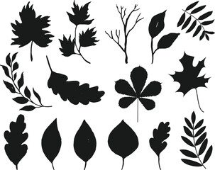 Black silhouette of autumn leaf's flat vector