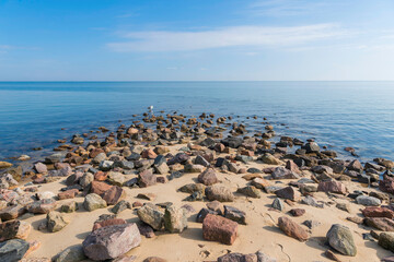 Möve sitzt auf Stein an der Nordküste der Insel Sylt, Deutschland - 668188914