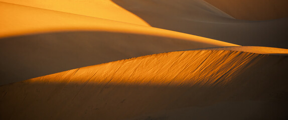 Closeup of curvy dunes at sunset in Namib Desert, south of Walvis Bay in the Namib-Naukluft National Park, Namibia. - obrazy, fototapety, plakaty