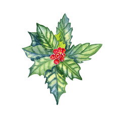 Watercolor holly branch hand drawn illustration. Realistic image of a festive green branch for Christmas design. Botanical New Year's clip art.