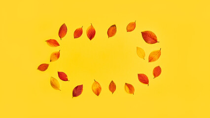 autumn long banner yellow background