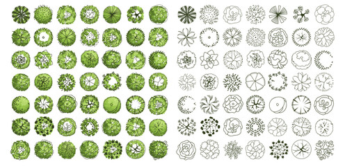 Tree for architectural floor plans. Entourage design. Various trees, bushes, and shrubs, top view for the landscape design plan. Vector illustration. © Аня Марюхно
