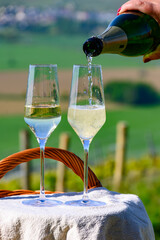 Tasting of premier cru sparkling white wine with bubbles champagne with view on green pinot noir,...