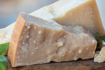 Traditional italian food - 36 months aged in caves Italian parmesan hard cheese from Parmigiano-Reggiano, Italy