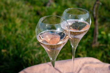 Tasting of grand cru sparkling rose wine with bubbles champagne on spring vineyards of Oger, small...
