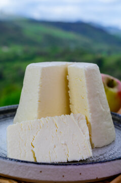 Spanish Afuega'l pitu unpasteurised cow's milk cheese from Asturias served outdoor with apples and view on green slopes of Picos de Europa mountains