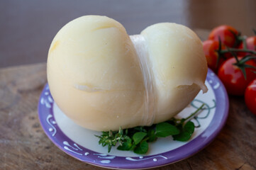 Italian semi hard handmade white scamorza cheese, from cow milk from Apulia or Calabria regions close up