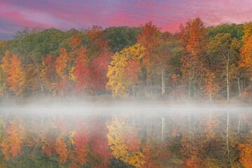 Foggy autumn landscape at dawn of the shoreline of Deep Lake, Yankee Springs State Park, Michigan, USA