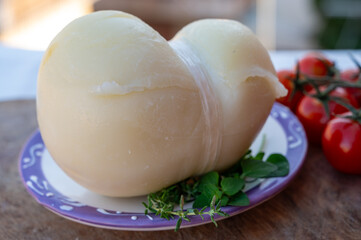 Italian semi hard handmade white scamorza cheese, from cow milk from Apulia or Calabria regions close up