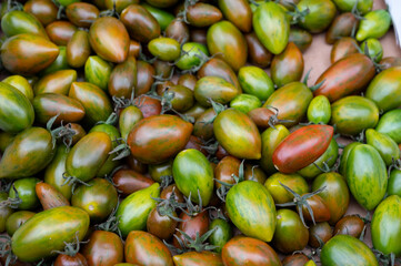 Fresh ripe organic green mini roma cherry tomatoes