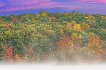 Naklejka na ściany i meble Foggy autumn landscape at dawn of the shoreline of Hall Lake, Yankee Springs State Park, Michigan, USA
