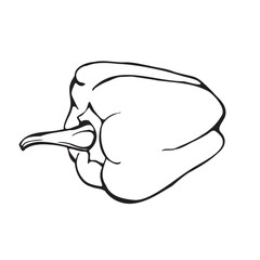 Black silhouette of bell pepper. Drawing of poison. Vector illustration