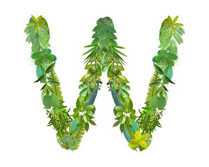 W shape made of various kinds of leaves isolated on transparent background, go green concept, PNG
