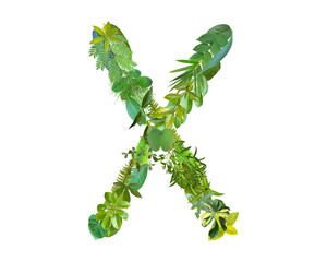 X shape made of various kinds of leaves isolated on transparent background, go green concept, PNG