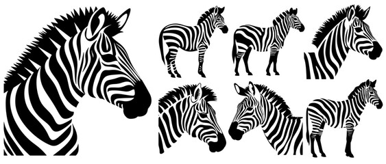 Fototapeta na wymiar zebra collection in black and white vector format very easy to edit