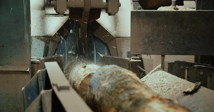 Fault on sawmill during sawing log wood. Pine tree in the lumber factory