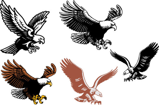 Eagle swoop attack, hand drawn hawk bird icons set. Eagle in high resolution as a symbol of height, strength and power. Editable vector, easy to change color or size.