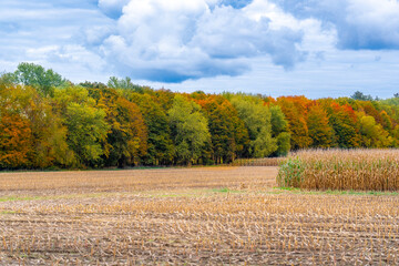 Afternoon autumn / fall photo of freshly harvested corn field, agricultural fields in the New York...