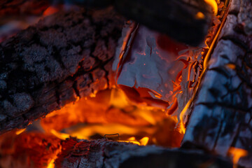 Burning firewood close-up, fire background.