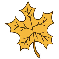 autumn maple leaf illustration