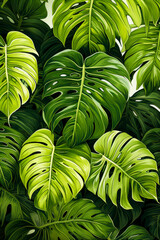 Large group of green leaves on white and black background.